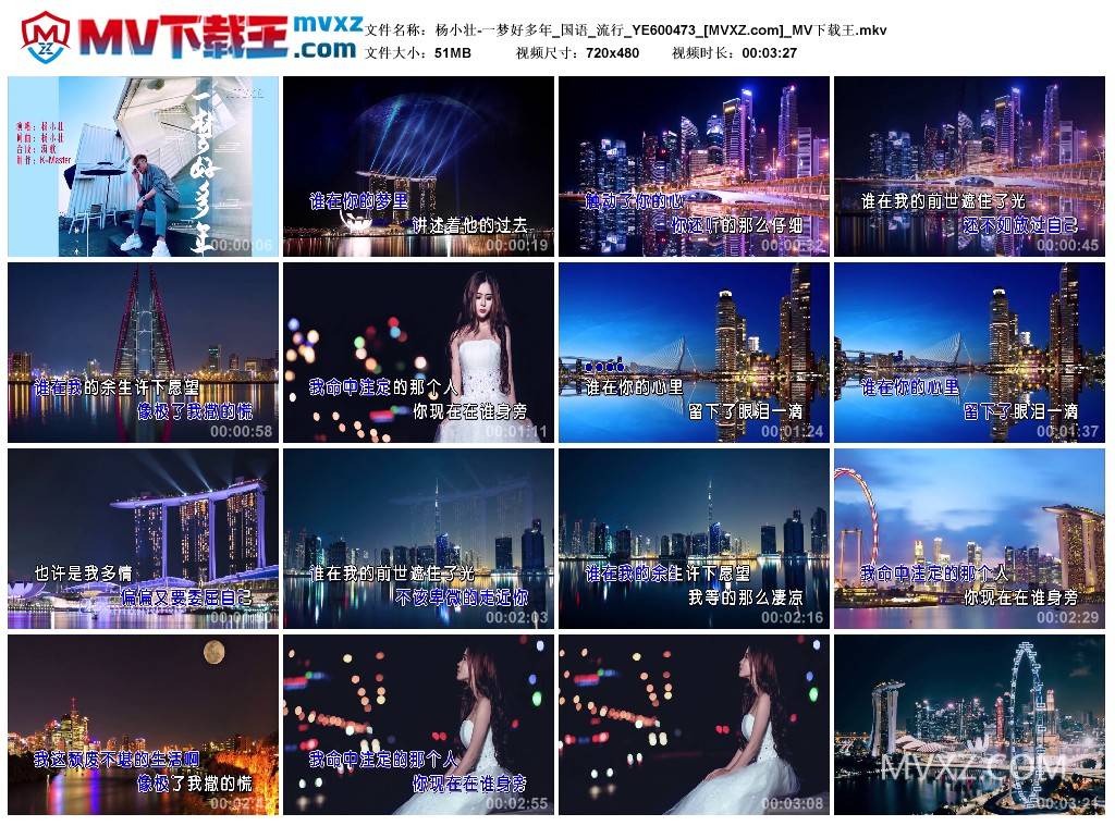 杨小壮-一梦好多年_国语_流行_YE600473